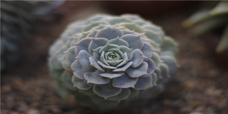 78年属马44岁婚姻状况(十二生肖运势)