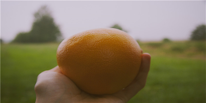 72年属鼠哪个时辰的人财运最好(1974年属虎人今年财运如何)