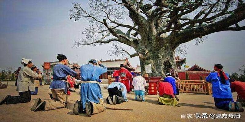 菏泽市开发区史话之十八  溯源“大槐树”，铭记“老鹳窝”  ——亿万中国人的血脉密码和移民情结