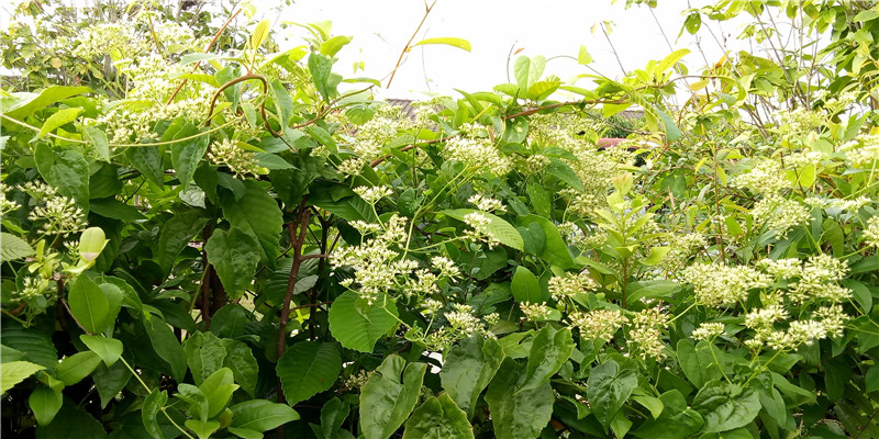 花6000请大师起名，90后爸妈从起名开始卷