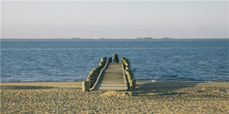 57年的属鸡人今日运势(57年属鸡今日运势)