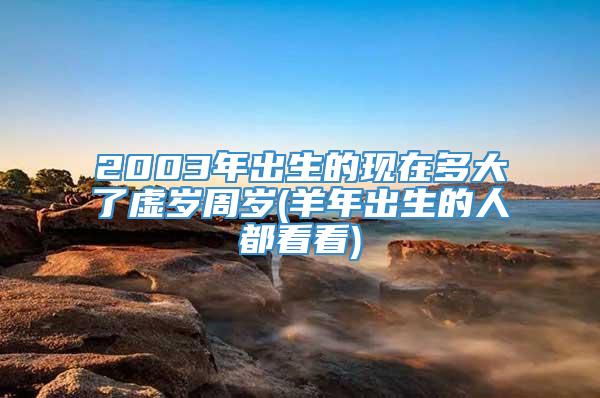 2003年出生的现在多大了虚岁周岁(羊年出生的人都看看)