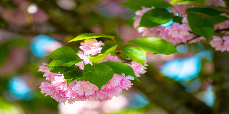 充满正能量的微信名字(星期四发朋友圈正能量句子)