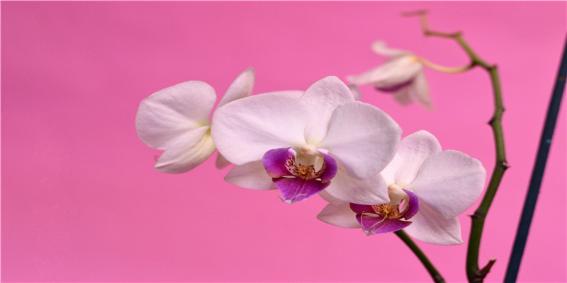 2022年正月初六结婚日子好吗(女足包机进入中国领空)