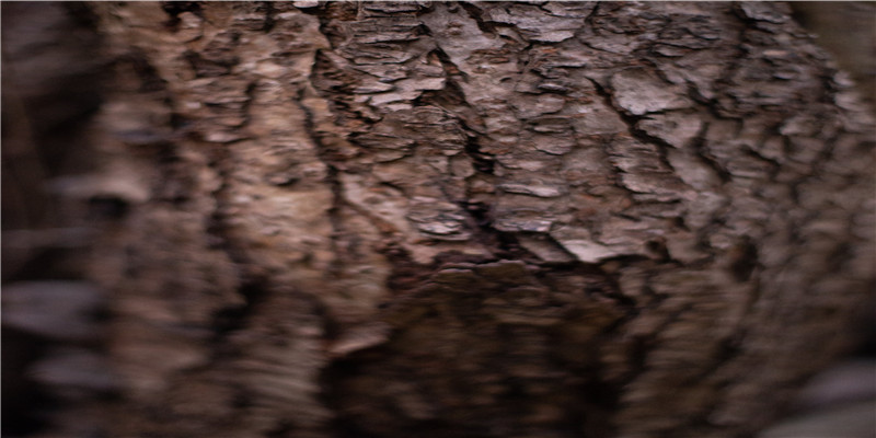 5个字的骚气游戏名字(游戏情侣网名 情侣专用骚气)