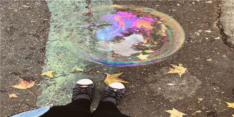 为什么鸡和鸡不能结婚(正月初二“回娘家”)