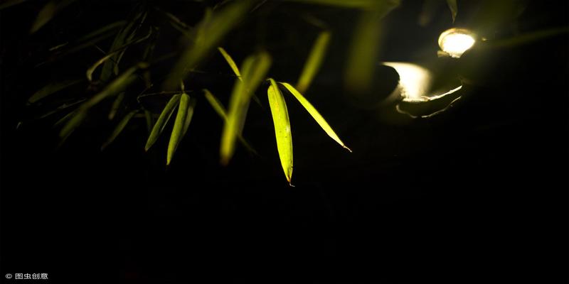 为什么会看不懂《易经》?