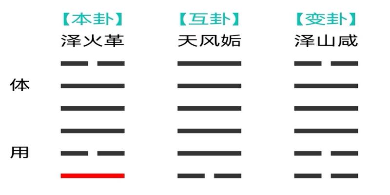 梅花易数之观梅占