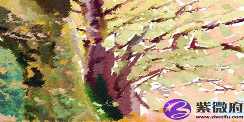 大海水命和路旁土命合吗(壁上土命和大海水命相克吗)