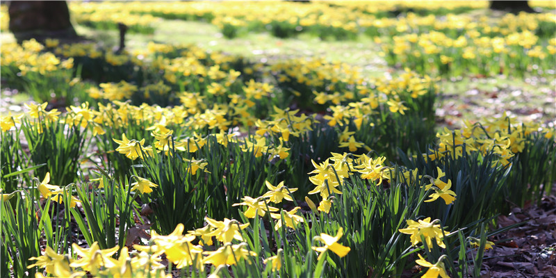 当奶奶梦到小孙女丢了找不到(奶奶梦见孙子孙女丢了是什么意思)