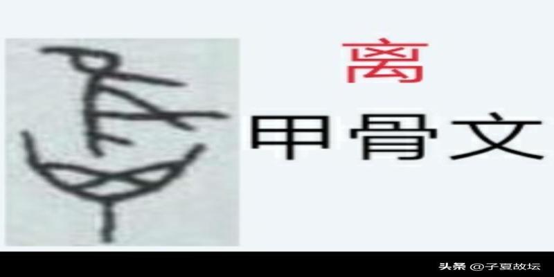 八卦取象之离象（修订版）