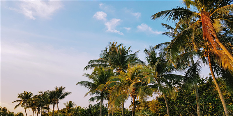 怀孕梦见自己生了(怀孕了梦到)