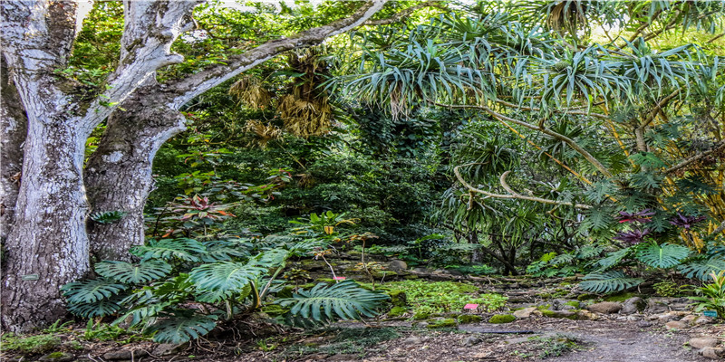 你的姓排第几?公安部发布最新百家姓,最新排序公布!