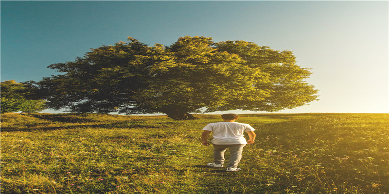 内宅第一古装美人内卷至此，金晨白鹿们也是拼了