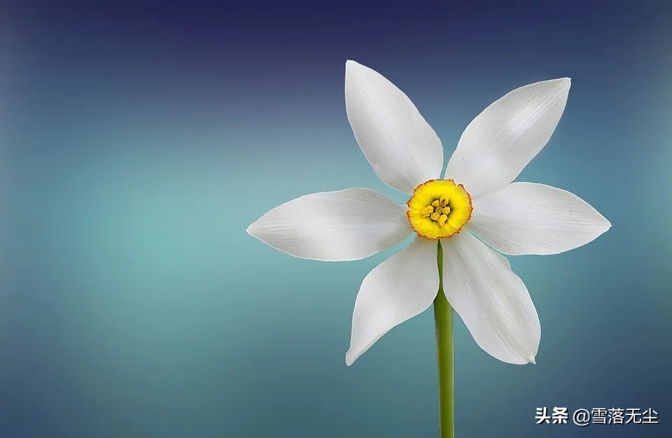 你的命好不好,从“脸”就能看出来