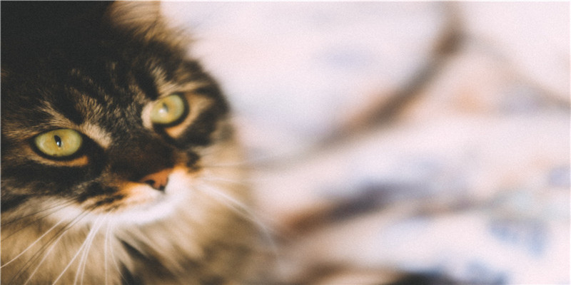 100张精美中华传统风俗图(配100首诗)