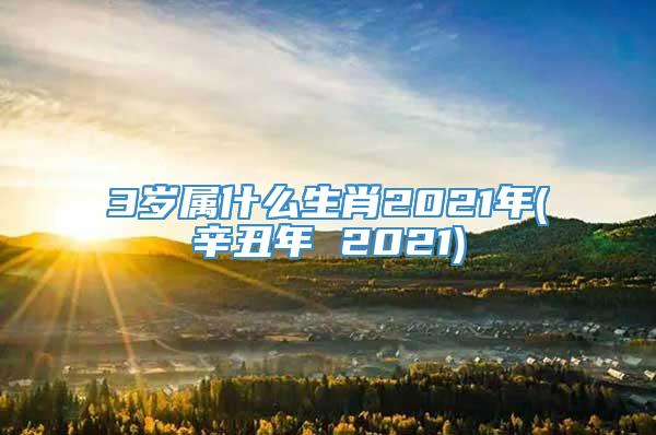 3岁属什么生肖2021年(辛丑年 2021)