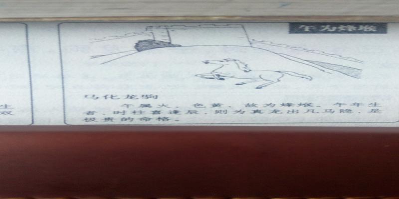 神奇的梅花易数……教你占卜,最简单准确的预测法