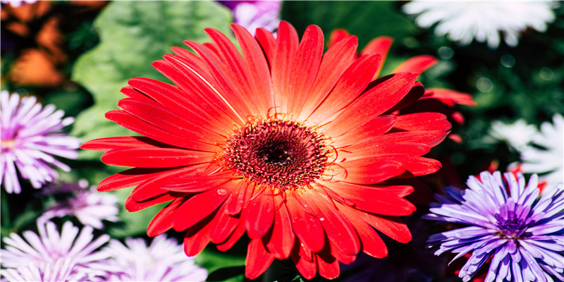 6位吉利发财数字组合微信号(当心“杀猪盘”陷阱)