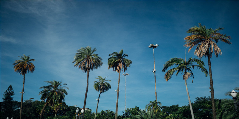 至今未婚的8位央视主持人，年龄最小的37岁，最大的已经60岁