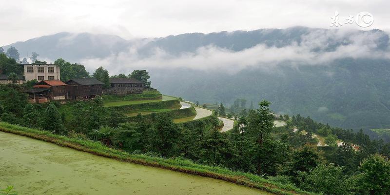 八字命理揭秘—八字术语详解（上）