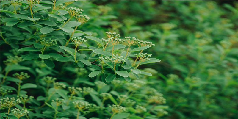学习面相真人图解  不急于求成，打好基础。下苦功夫记、背、 练