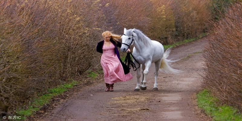 2023年正缘八字(2018年将会有正缘出现的生肖)