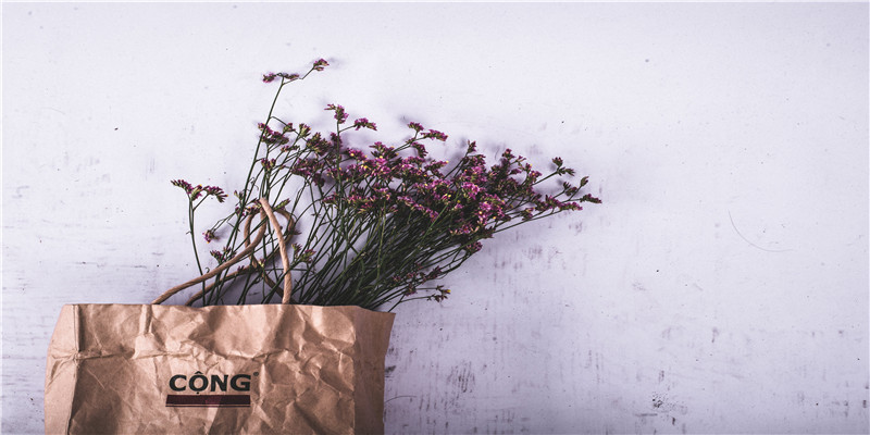 71年属猪51到52岁好运气(1.25猪价)