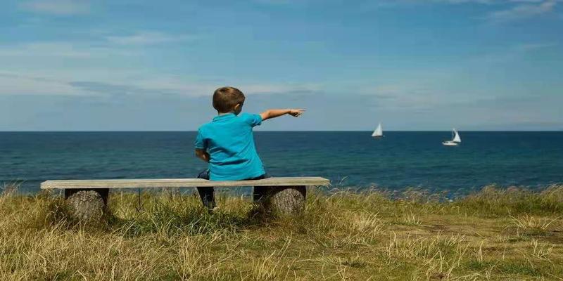 看完这对填志愿的母子，才明白为什么有些孩子一事无成