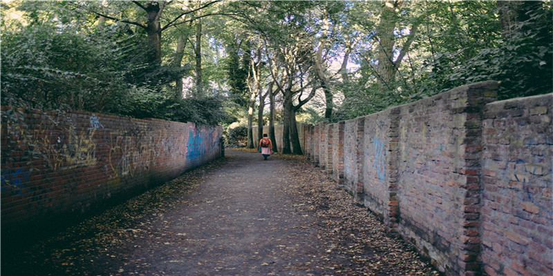 68年属猴的今年每月运势(2018年论断猴人的狗年运程)