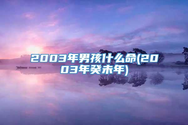 2003年男孩什么命(2003年癸未年)