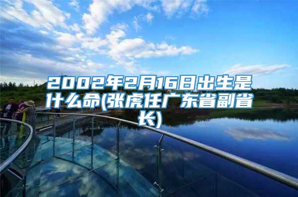 2002年2月16日出生是什么命(张虎任广东省副省长)