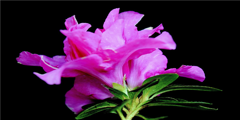 半夜结婚是什么意思(今年“最有爱”的领证现场)