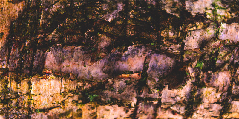 “人造子宫”即将诞生!中国生育率有救了?