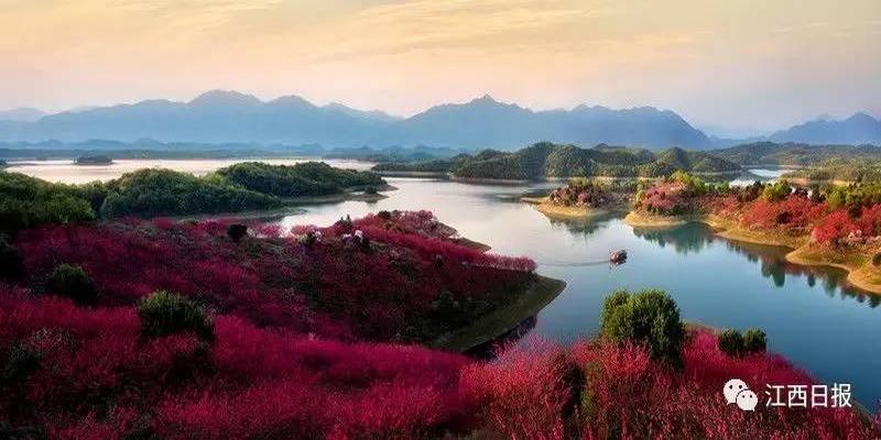 三生三世十里桃花?这里可不止百里!去武宁花源谷感受桃花雨……