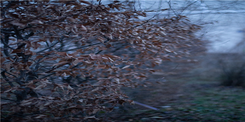 娱乐圈最喜庆的一天,4对夫妻结婚,日剧女神怀孕,有人却犯错了