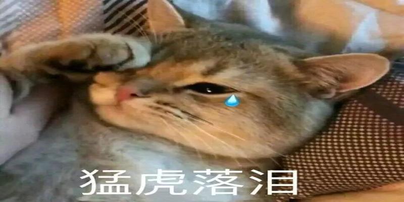 免费算命套路深？