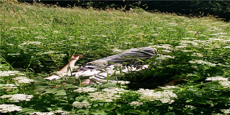 学习面相真人图解  不急于求成，打好基础。下苦功夫记、背、 练