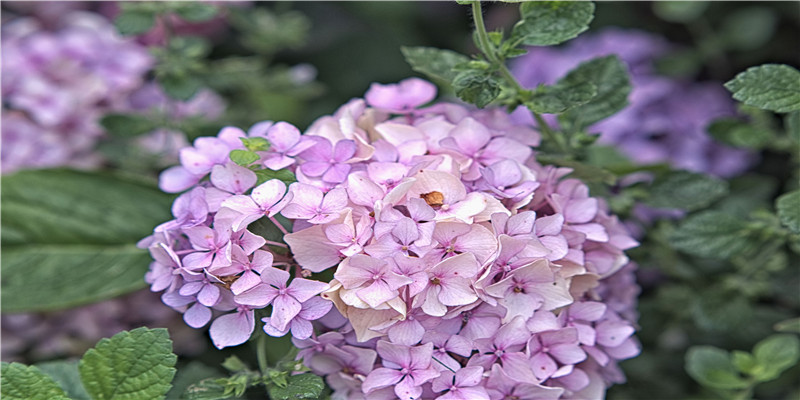 贵圈男星眉毛大赏！三角形这位是我的年度笑点