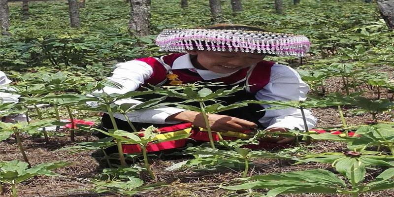 揭秘“江湖72寡头门”的种种伎俩，您看了防上当，不受骗