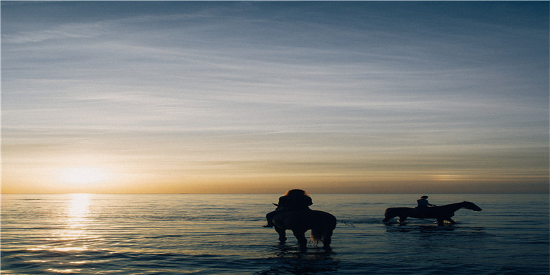 出生率和死亡率相等时(你已经是个成熟的进化论了)