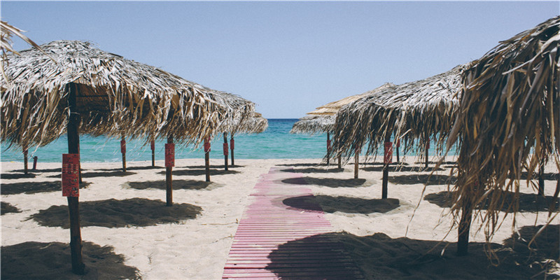 免费算命测寿命(相师给曹丕算命)