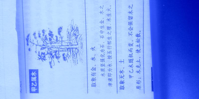 神奇的梅花易数……教你占卜,最简单准确的预测法