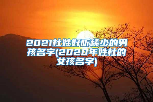 2021杜姓好听稀少的男孩名字(2020年姓杜的女孩名字)