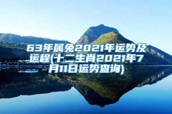 63年属兔2021年运势及运程(十二生肖2021年7月11日运势查询)