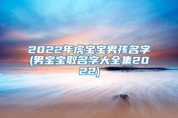 2022年虎宝宝男孩名字(男宝宝取名字大全集2022)