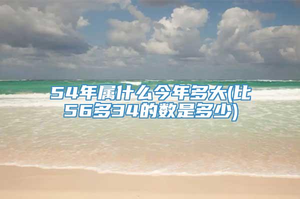 54年属什么今年多大(比56多34的数是多少)