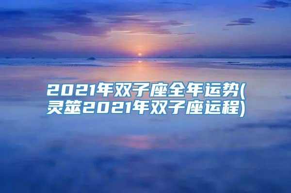 2021年双子座全年运势(灵筮2021年双子座运程)