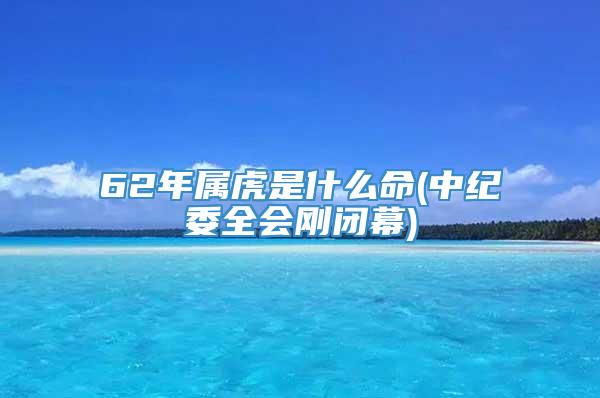 62年属虎是什么命(中纪委全会刚闭幕)