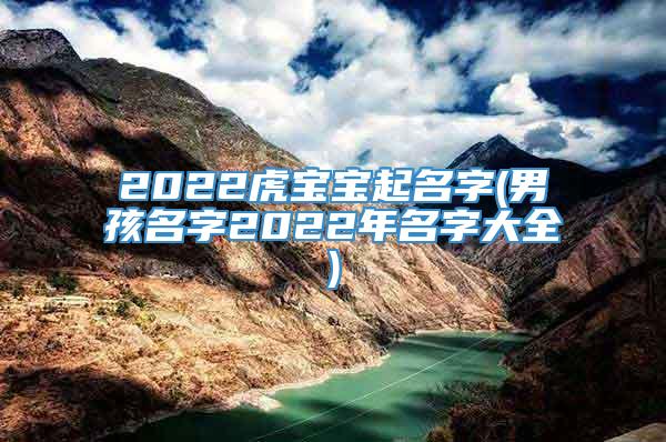 2022虎宝宝起名字(男孩名字2022年名字大全)